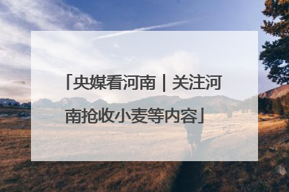 央媒看河南｜关注河南抢收小麦等内容