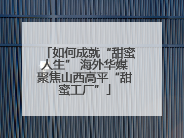 如何成就“甜蜜人生” 海外华媒聚焦山西高平“甜蜜工厂”