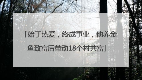 始于热爱，终成事业，他养金鱼致富后带动18个村共富