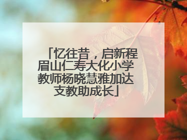 忆往昔，启新程眉山仁寿大化小学教师杨晓慧雅加达支教助成长