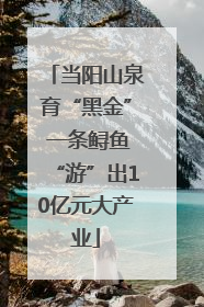 当阳山泉育“黑金” 一条鲟鱼“游”出10亿元大产业