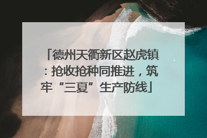 德州天衢新区赵虎镇：抢收抢种同推进，筑牢“三夏”生产防线