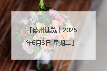 德州速览丨2025年6月3日 星期二