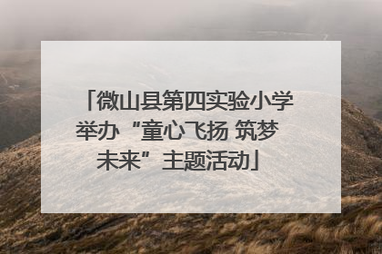 微山县第四实验小学举办“童心飞扬 筑梦未来”主题活动