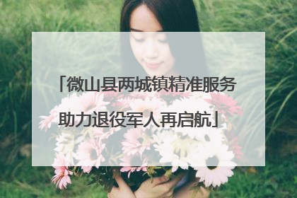 微山县两城镇精准服务助力退役军人再启航