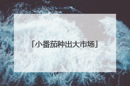小番茄种出大市场