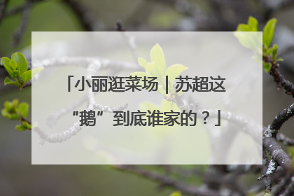 小丽逛菜场｜苏超这“鹅”到底谁家的？