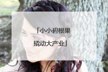 小小碧根果撬动大产业