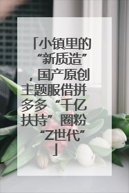 小镇里的“新质造”，国产原创主题服借拼多多“千亿扶持”圈粉“Z世代”