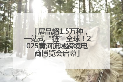 展品超1.5万种，一站式“链”全球！2025黄河流域跨境电商博览会启幕