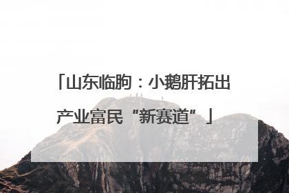 山东临朐：小鹅肝拓出产业富民“新赛道”