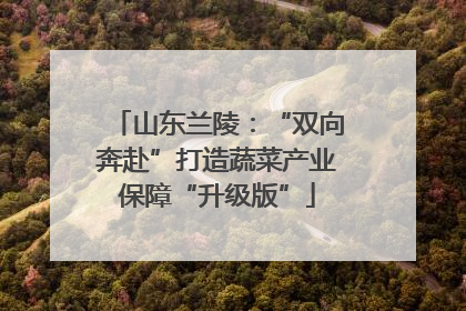 山东兰陵：“双向奔赴”打造蔬菜产业保障“升级版”