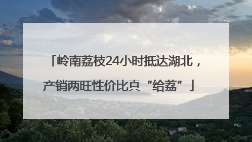 岭南荔枝24小时抵达湖北，产销两旺性价比真“给荔”