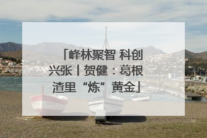 峰林聚智 科创兴张丨贺健：葛根渣里“炼”黄金
