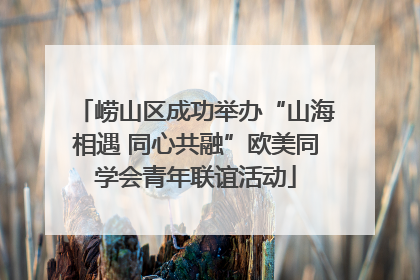 崂山区成功举办“山海相遇 同心共融”欧美同学会青年联谊活动