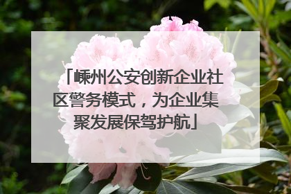 嵊州公安创新企业社区警务模式，为企业集聚发展保驾护航