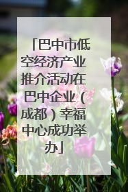 巴中市低空经济产业推介活动在巴中企业（成都）幸福中心成功举办