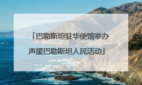 巴勒斯坦驻华使馆举办声援巴勒斯坦人民活动