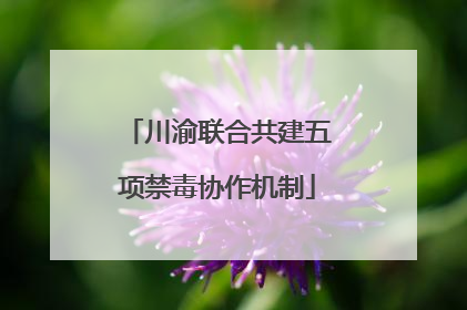 川渝联合共建五项禁毒协作机制