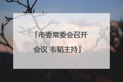 市委常委会召开会议 韦韬主持