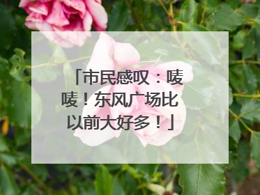 市民感叹：唛唛！东风广场比以前大好多！