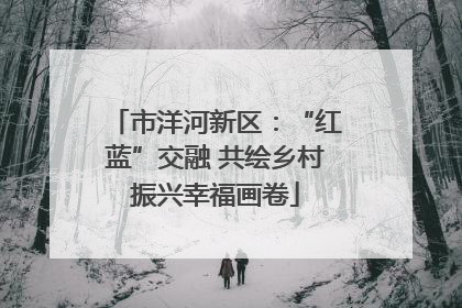 市洋河新区：“红蓝”交融 共绘乡村振兴幸福画卷