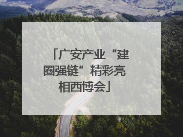 广安产业“建圈强链”精彩亮相西博会