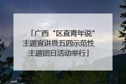 广西“区直青年说”主题宣讲暨五四示范性主题团日活动举行