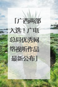 广西两部入选！广电总局优秀网络视听作品最新公布