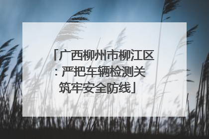 广西柳州市柳江区：严把车辆检测关 筑牢安全防线