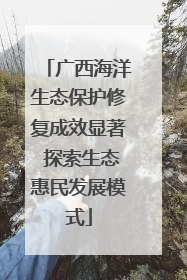 广西海洋生态保护修复成效显著 探索生态惠民发展模式