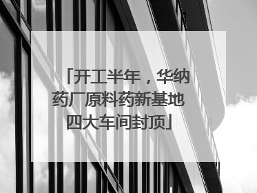 开工半年，华纳药厂原料药新基地四大车间封顶