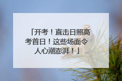 开考！直击日照高考首日！这些场面令人心潮澎湃！