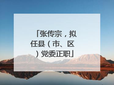 张传宗，拟任县（市、区）党委正职