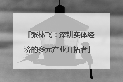 张林飞：深耕实体经济的多元产业开拓者