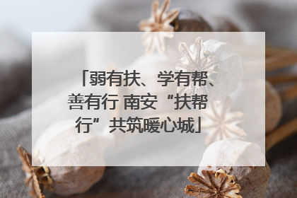 弱有扶、学有帮、善有行 南安“扶帮行”共筑暖心城