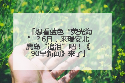 想看蓝色“荧光海”？6月，来瑞安北麂岛“追泪”吧！《90早新闻》来了