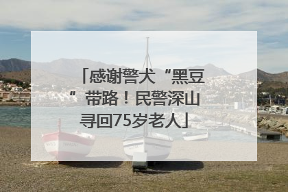 感谢警犬“黑豆”带路！民警深山寻回75岁老人