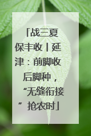 战三夏 保丰收丨延津：前脚收 后脚种，“无缝衔接”抢农时