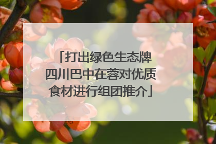 打出绿色生态牌 四川巴中在蓉对优质食材进行组团推介