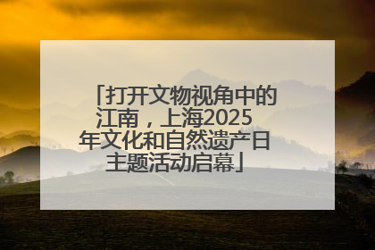 打开文物视角中的江南，上海2025年文化和自然遗产日主题活动启幕