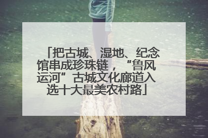 把古城、湿地、纪念馆串成珍珠链，“鲁风运河”古城文化廊道入选十大最美农村路