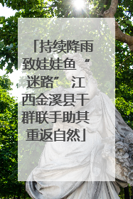 持续降雨致娃娃鱼“迷路” 江西金溪县干群联手助其重返自然