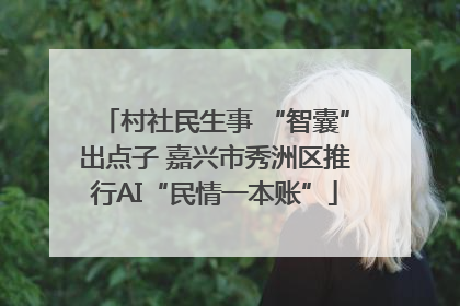 村社民生事 “智囊”出点子 嘉兴市秀洲区推行AI“民情一本账”