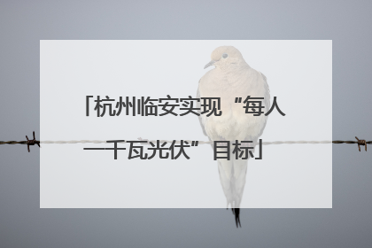 杭州临安实现“每人一千瓦光伏”目标