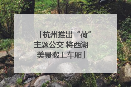 杭州推出“荷”主题公交 将西湖美景搬上车厢