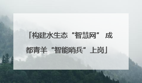 构建水生态“智慧网” 成都青羊“智能哨兵”上岗