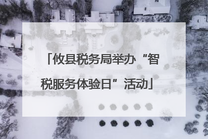 攸县税务局举办“智税服务体验日”活动