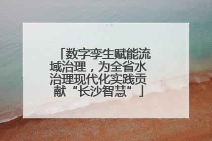 数字孪生赋能流域治理，为全省水治理现代化实践贡献“长沙智慧”