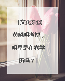 文化杂谈｜黄晓明考博，明星是在卷学历吗？